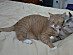 View full size picture