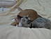 View full size picture