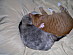 View full size picture