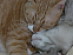 View full size picture