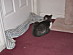 View full size picture