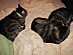 View full size picture