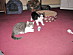 View full size picture