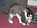 View full size picture
