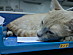 View full size picture