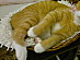 View full size picture