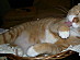 View full size picture