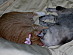 View full size picture