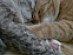 View full size picture
