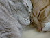 View full size picture