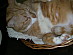 View full size picture