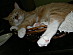 View full size picture