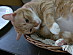 View full size picture