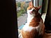 View full size picture