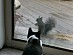 View full size picture