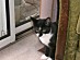 View full size picture