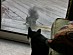 View full size picture