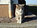 View full size picture