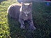 View full size picture