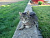 View full size picture