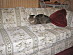 View full size picture