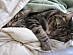 View full size picture
