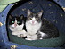 View full size picture