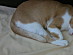 View full size picture