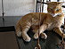 View full size picture