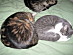View full size picture