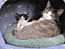 View full size picture