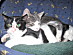 View full size picture