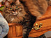 View full size picture