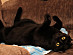 View full size picture