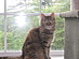 View full size picture