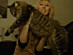 View full size picture