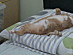 View full size picture