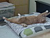 View full size picture