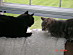 View full size picture