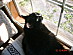 View full size picture