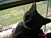 View full size picture