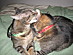 View full size picture
