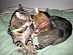 View full size picture