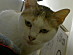 View full size picture