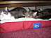 View full size picture
