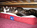 View full size picture