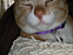 View full size picture