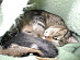 View full size picture