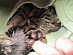View full size picture