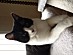 View full size picture